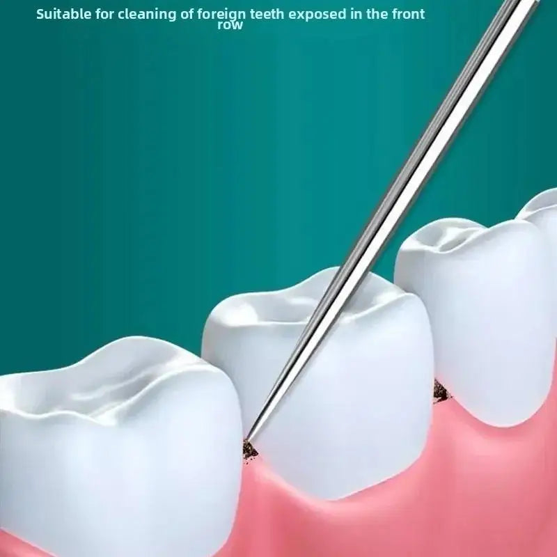 Stainless Steel Reusable Toothpick & Floss Set | Oral Care