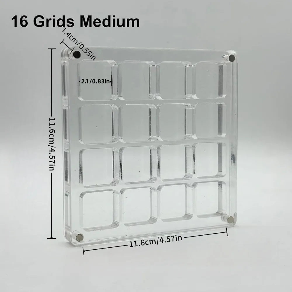 16-Grid Seashell Display Box Magnets Acrylic Storage Organizer