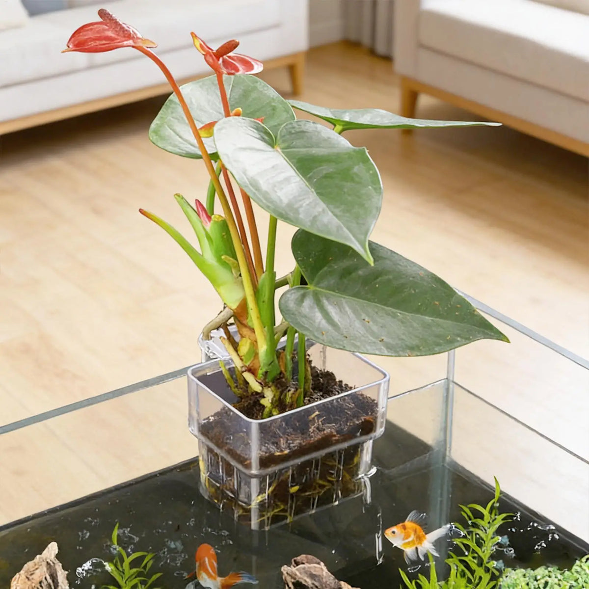 Transparent Hangable Pot Aquarium Plant Holder Planter Fish Tank