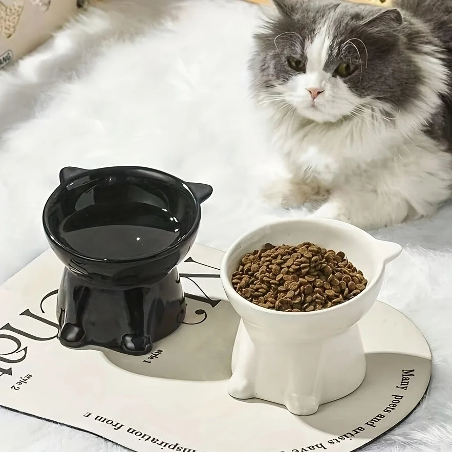 15° Tilted Cat Bowl – Anti-Vomit Pet Food & Water Station