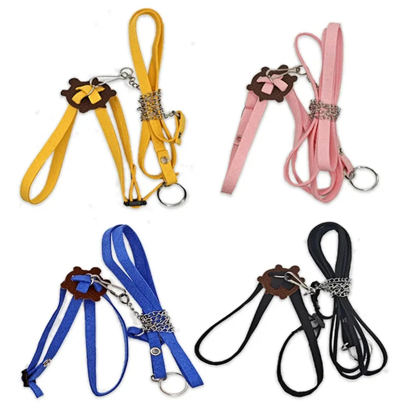 Pet Turtle Leash & Harness – Outdoor Training Traction Belt