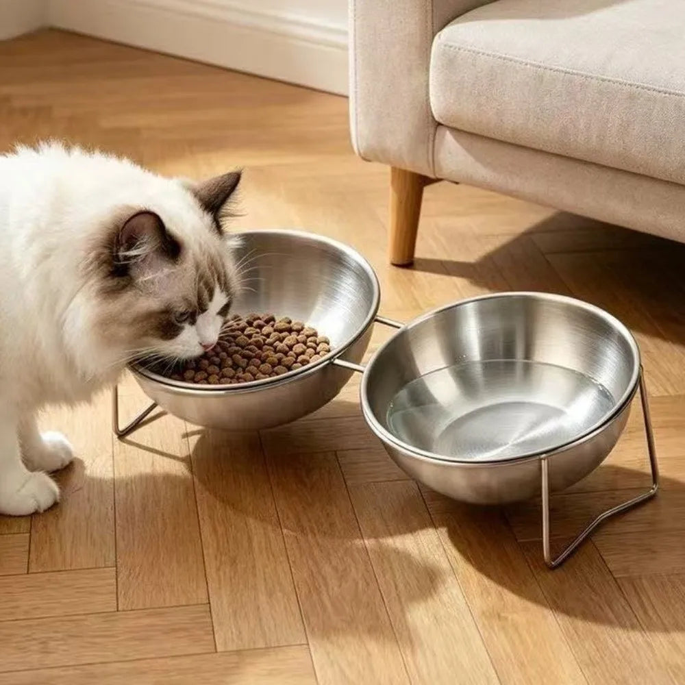 Elevated Stainless Steel Cat Double Bowl Set – Anti-Tip Raised