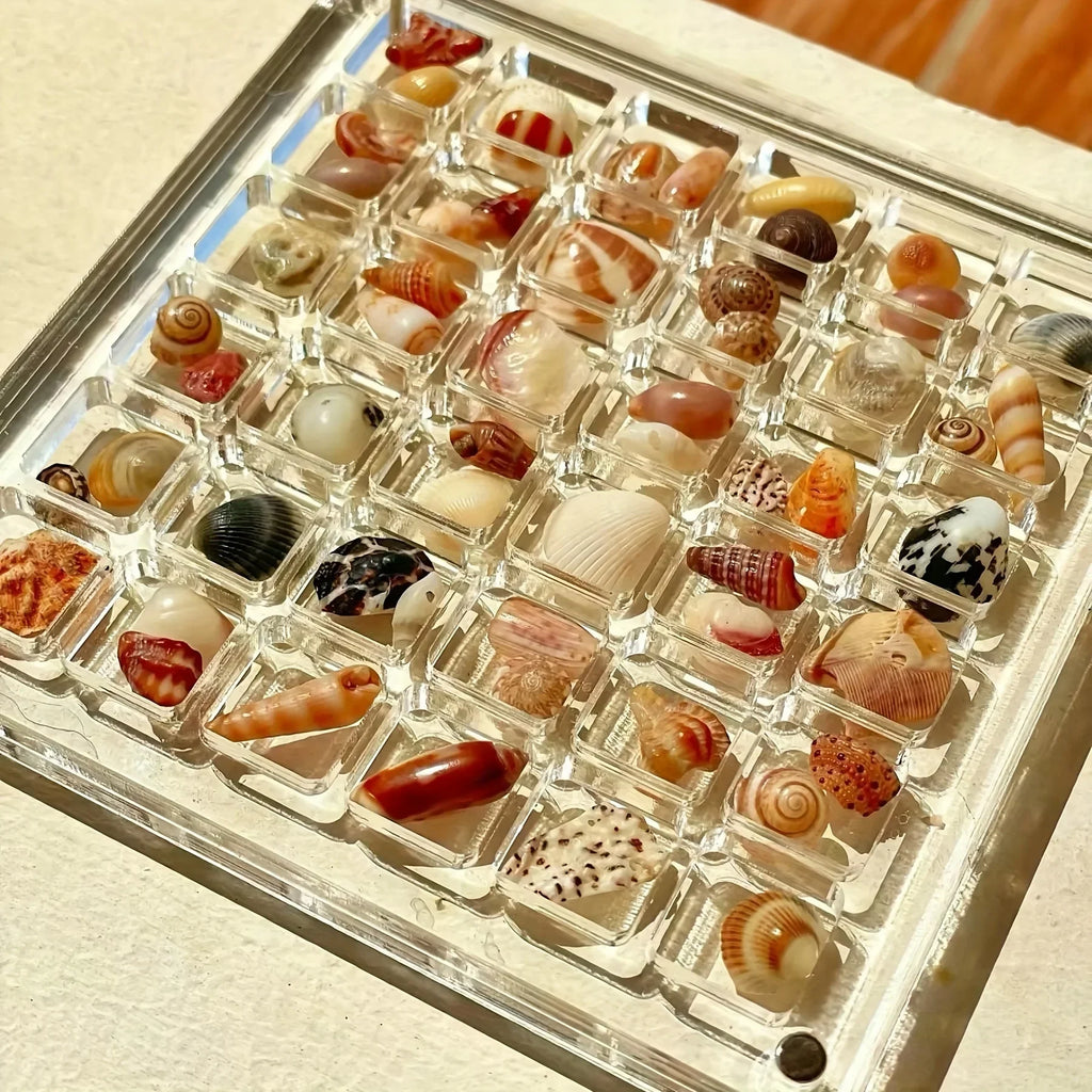 Clear Acrylic Magnetic Display Case 36-Grid Transparent Organizer