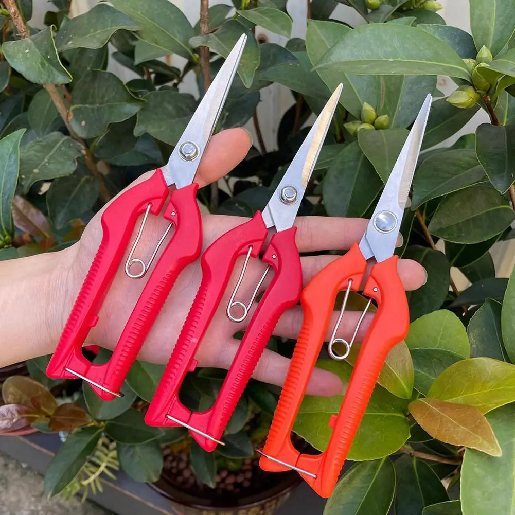 Stainless Steel Fruit Picking Pruning Shears | Garden Scissors