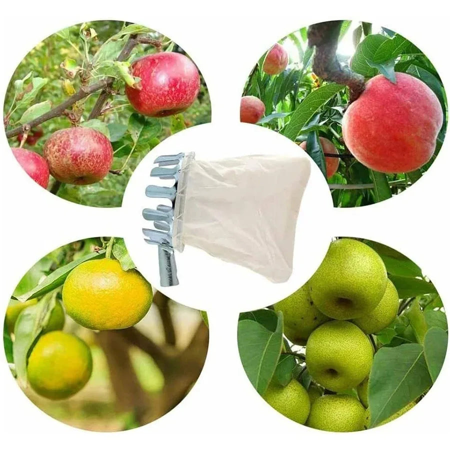 Adjustable Long Reach Fruit Picker Tool | Apple Cherry Berry