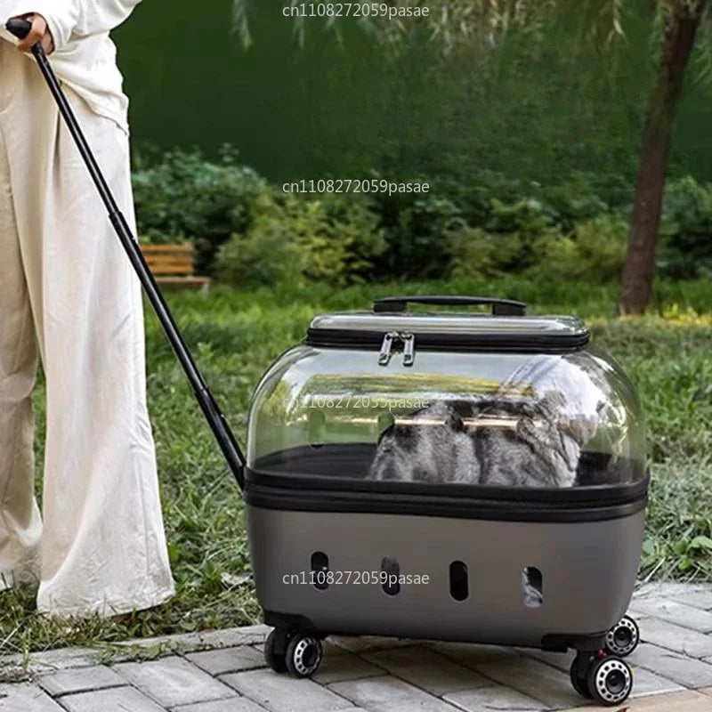 Large Transparent Rolling Cat Carrier Suitcase | Dual-Mode