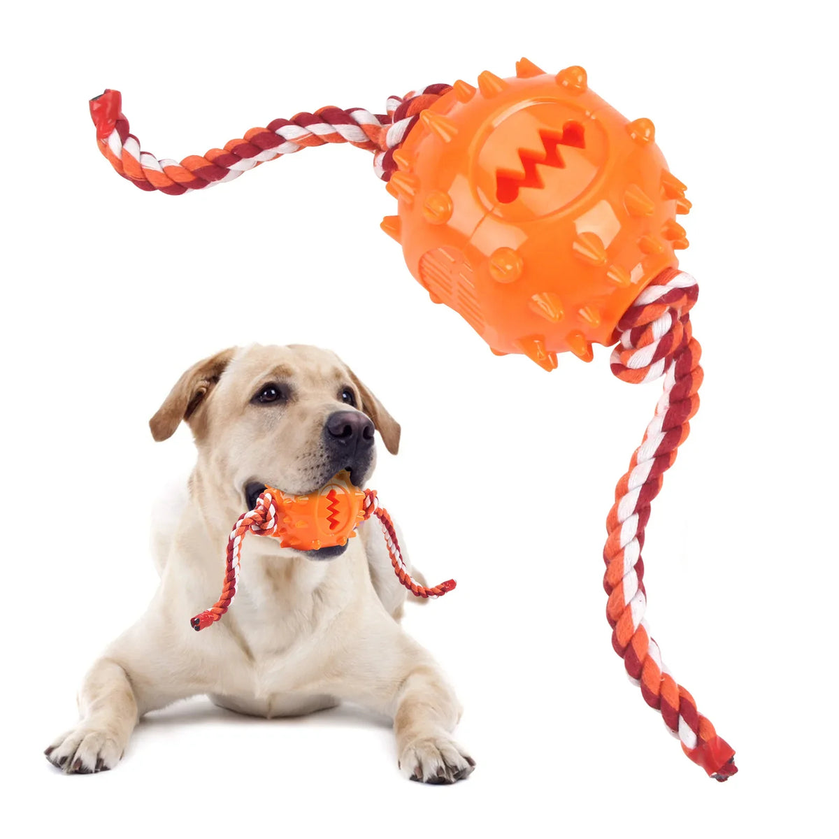 Toy Self-fun Teething Food Leakage Ball Tough Bite Hidden Pull Rope