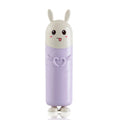 Portable Travel Toothbrush Case & Toothpaste Holder – Rabbit