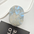 2-in-1 Folding Mirror Comb | Acetate Pocket Travel Hair Brush