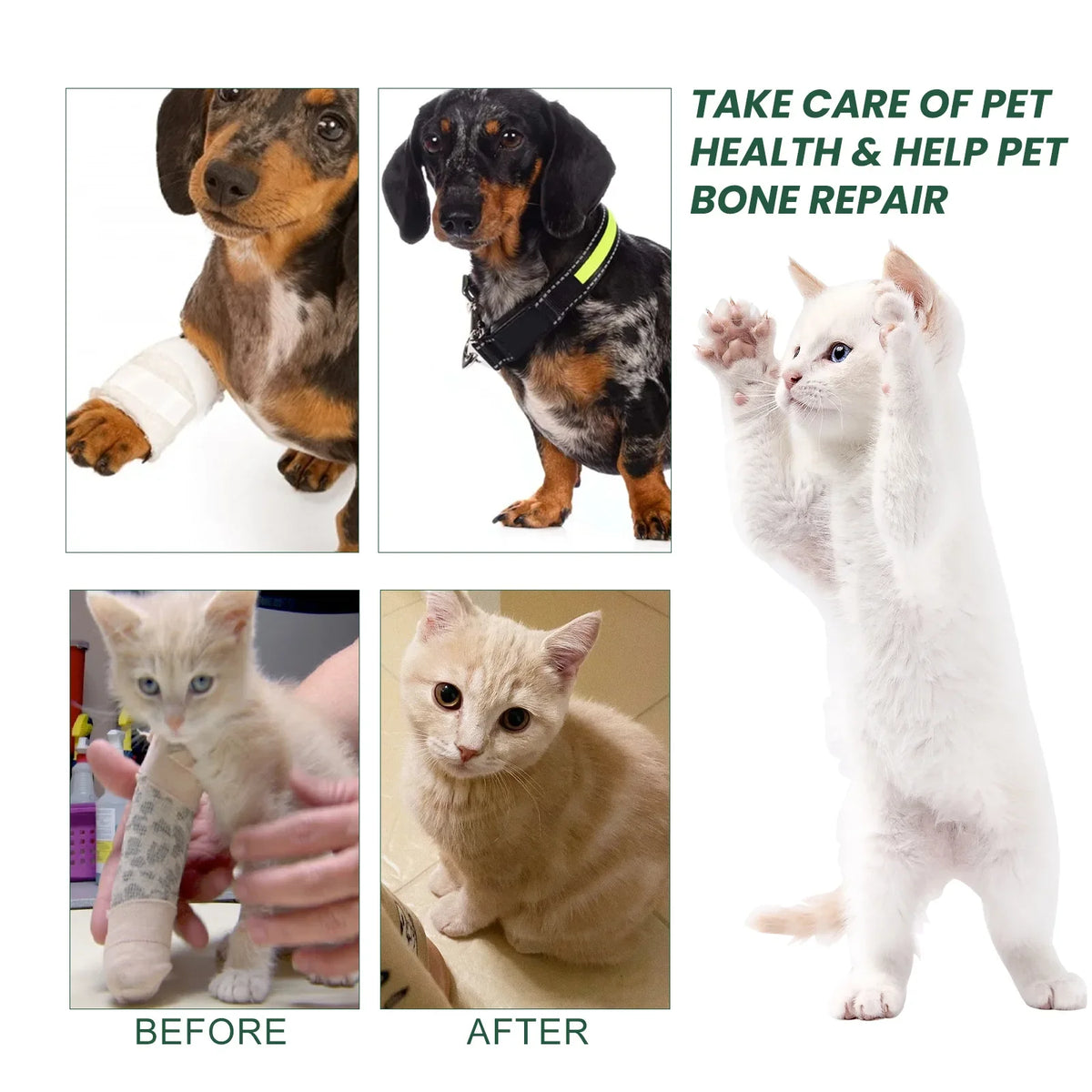 Yegbong Dog Joint Care Drops | Hip & Bone Supplement