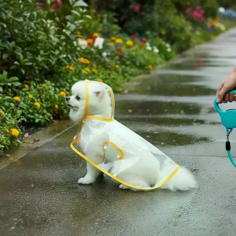 Transparent Waterproof Dog Raincoat XS–4XL | Clear PVC Pet Coat