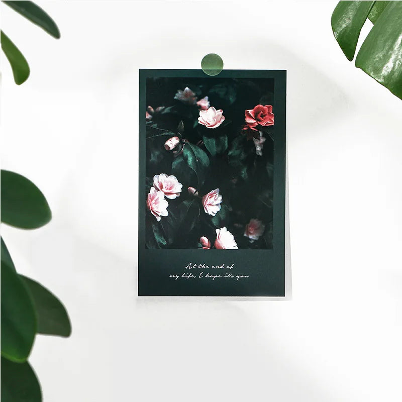 Beautiful Begonia Flower Clear Night Sky Series Postcard INS Greeting