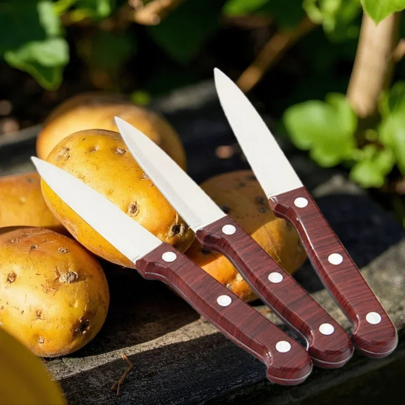 Professional Stainless Steel Paring & Chef Kitchen Knife