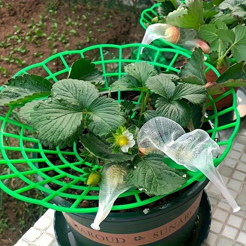 6 Green PVC Strawberry Support Cage Vegetable Garden 3-Legged Plant