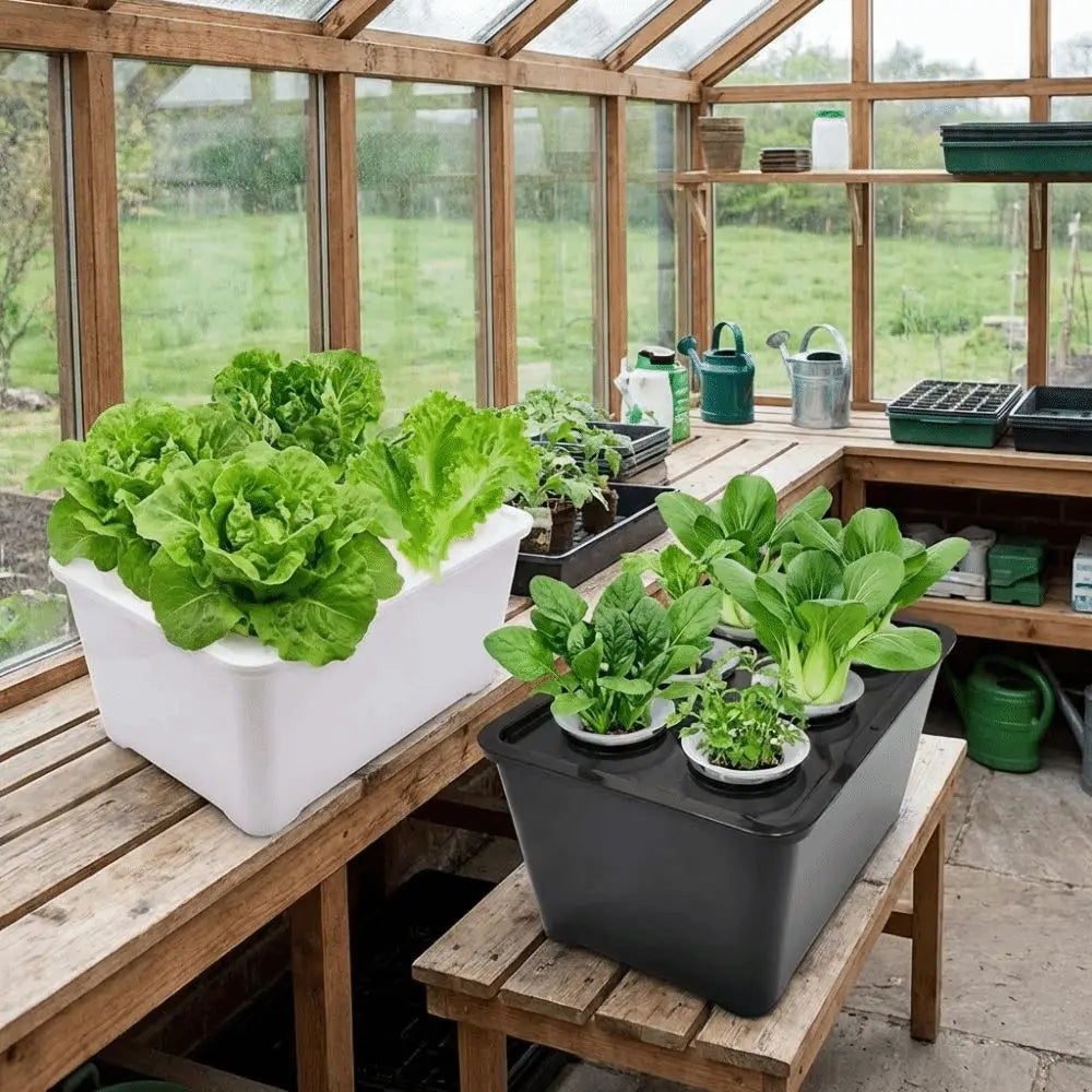 6-Hole Hydroponic Grower Kit | Self-Watering Indoor Herb Garden