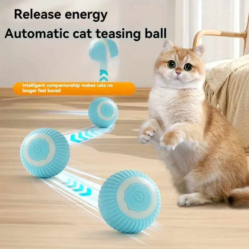 Interactive Auto Rolling Ball Toy for Cats & Dogs | USB Rechargeable