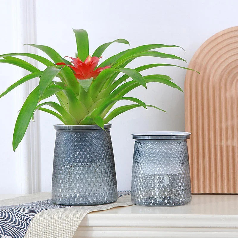 Self-Watering Transparent Planter – Hydroponic Flower Pot