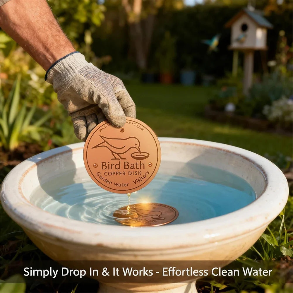 Solid Copper Water Purifier Disc for Birdbaths & Fountains