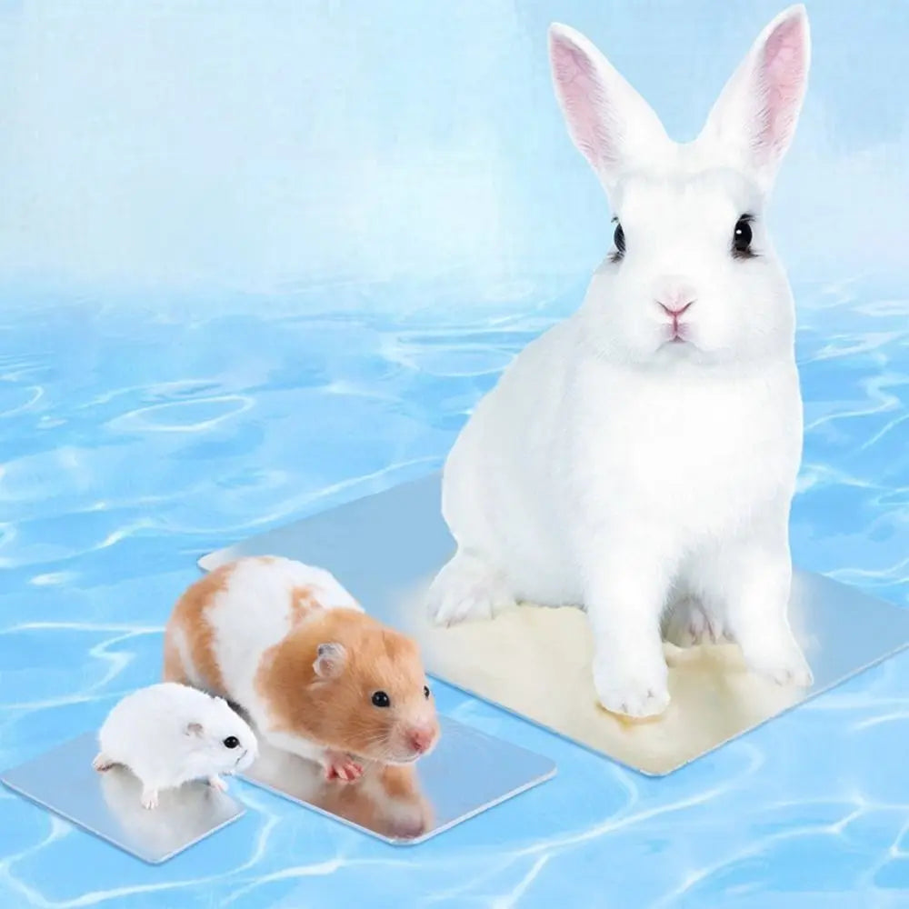 Aluminum Pet Cooling Plate Heat-dissipating Fast-cooling Rabbit