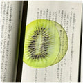 Fruit-Shaped Transparent Acrylic Bookmarks | Cute Reading Gift