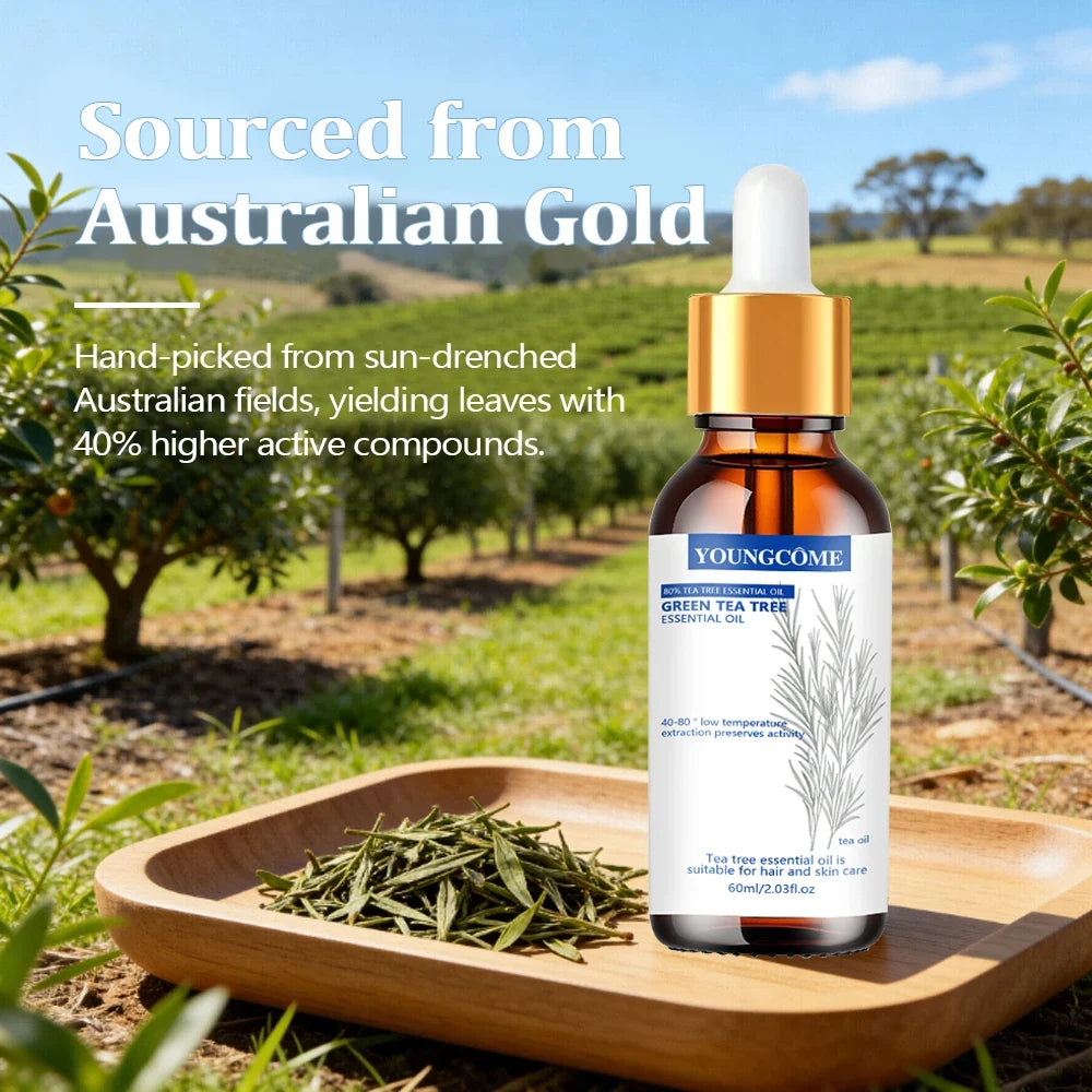 YOUNGCOME Pure Tea Tree Essential Oil Green Infused Natural Hair Skin