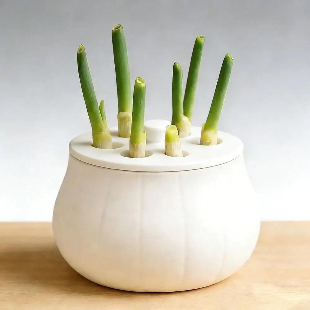 Vertical Hydroponic Green Onion Planter | 7-Hole Space-Saving
