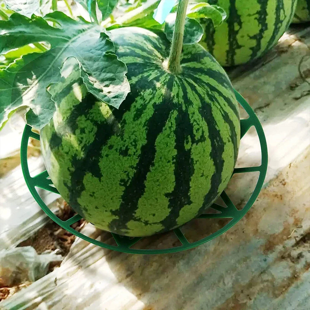 10-Pack Melon Cradle Fruit Support Trays – Holds Up to 8 lbs