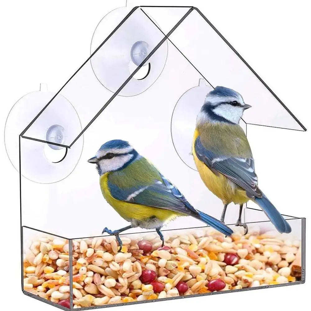 Clear Acrylic Window Bird Feeder with Suction Cup – Outdoor