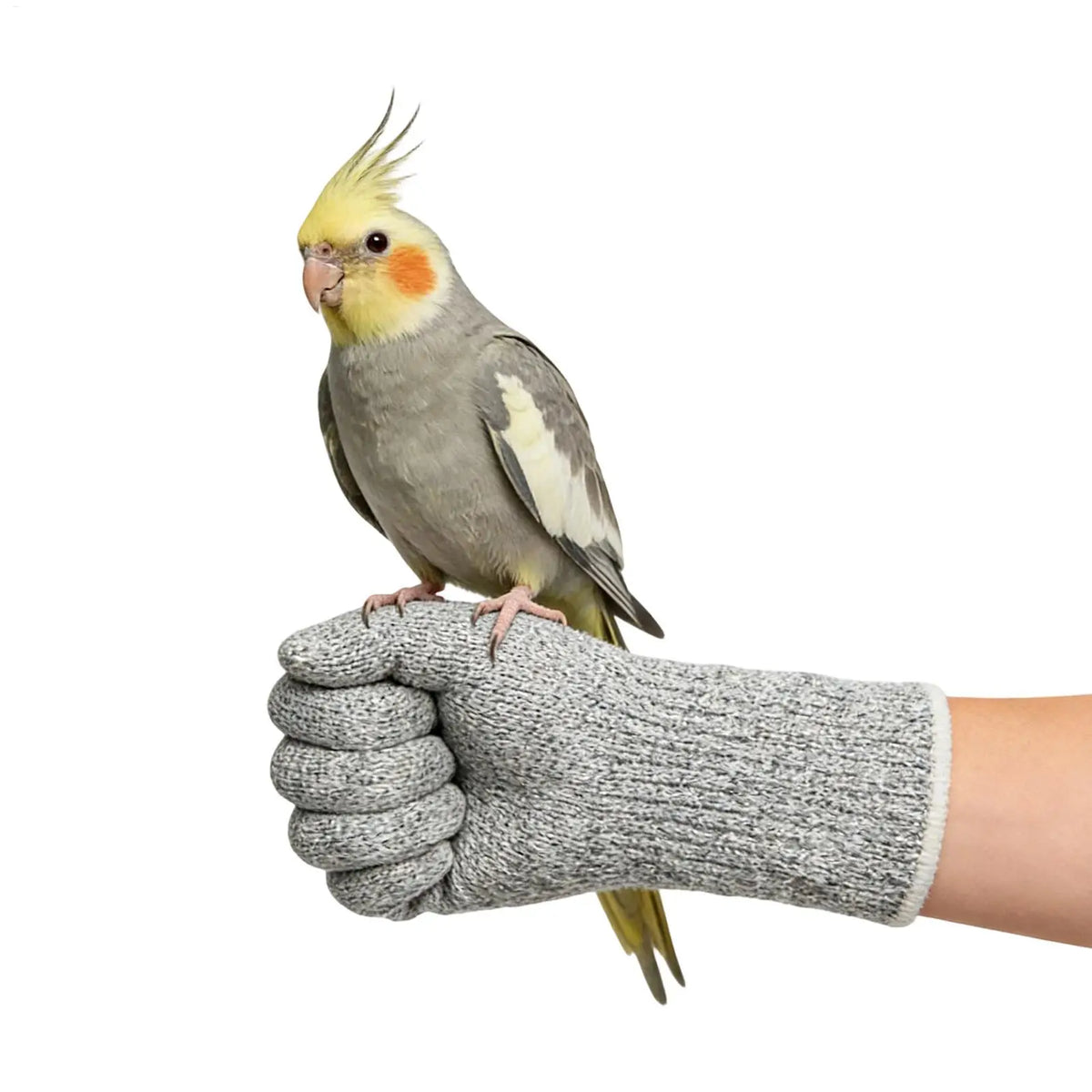 Cat Protection Gloves Scratch Resistant Bite Proof Multipurpose Guard