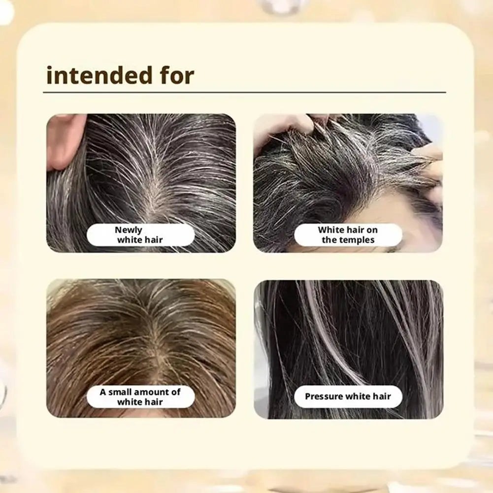 Plant-Based Hair Color Shampoo 210ml – Natural Long-Lasting Dye