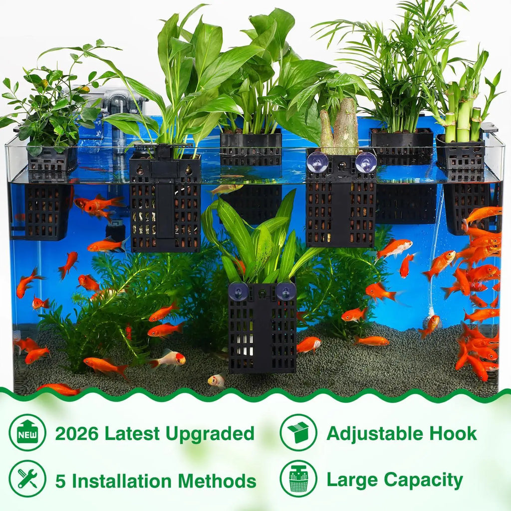 Adjustable Aquarium Plant Holder | Suction Cup & Hook