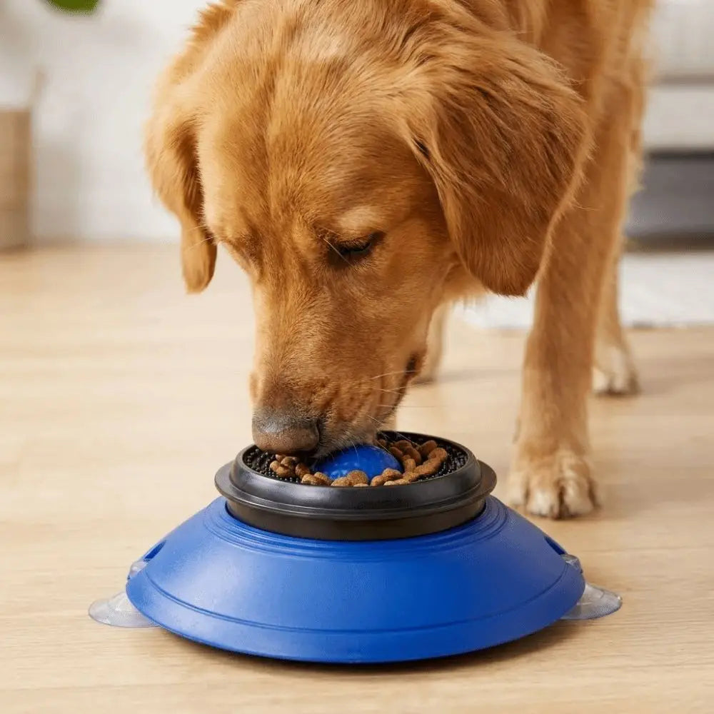 Anti-choking Dog Licking Bowl Non-slip Base Food-grade Slow Feeder