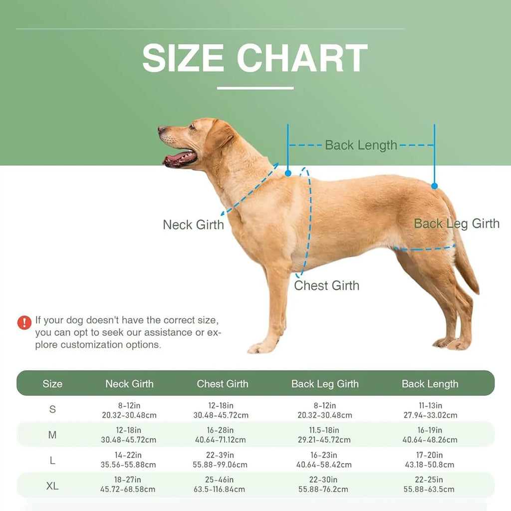 Adjustable Dog Back Brace Spinal Support Harness | Small Breeds