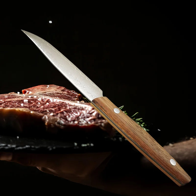 Damascus Steel Steak Knife – 67-Layer Blade & Wood Handle
