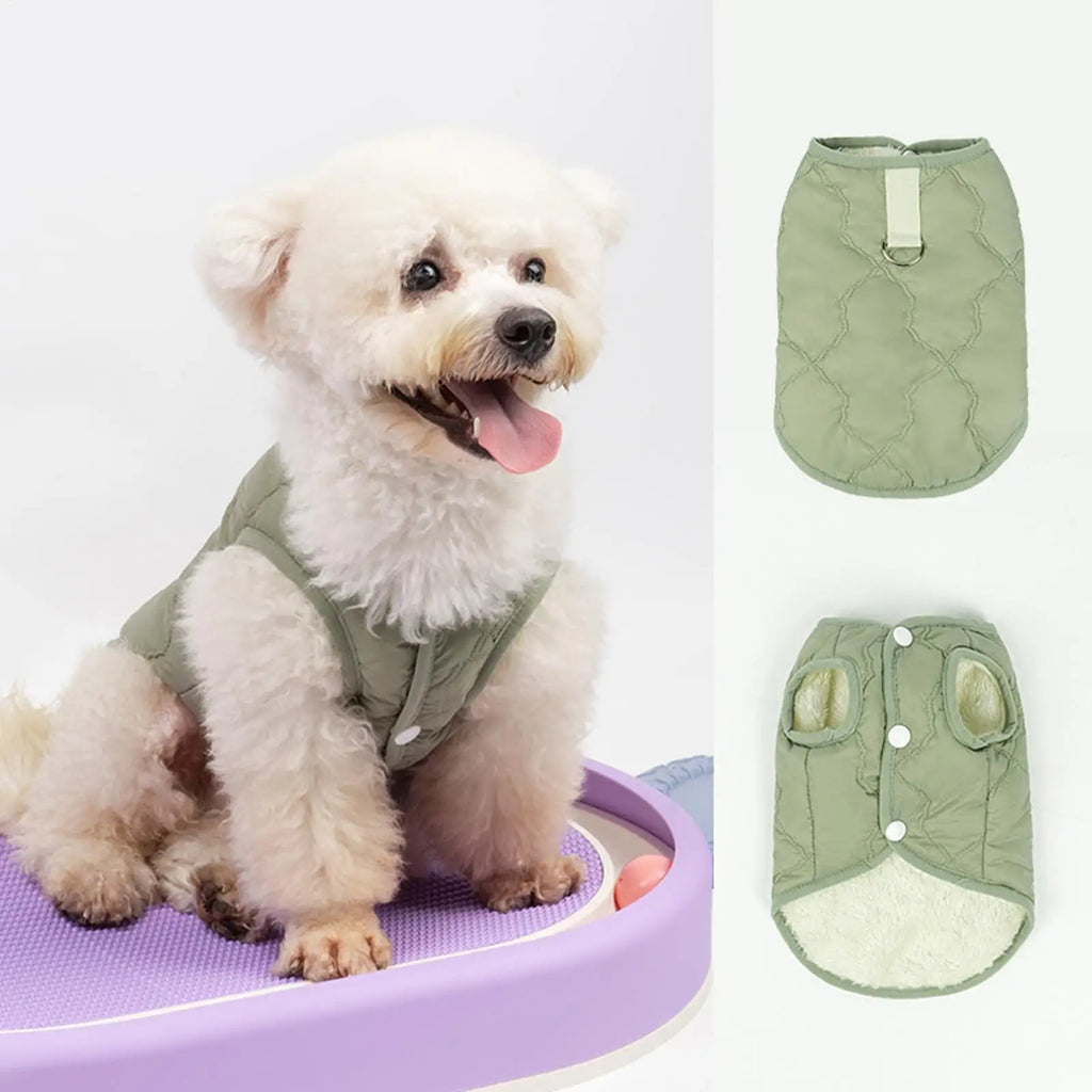 Windproof Insulated Dog & Cat Winter Coat | Pet Jacket