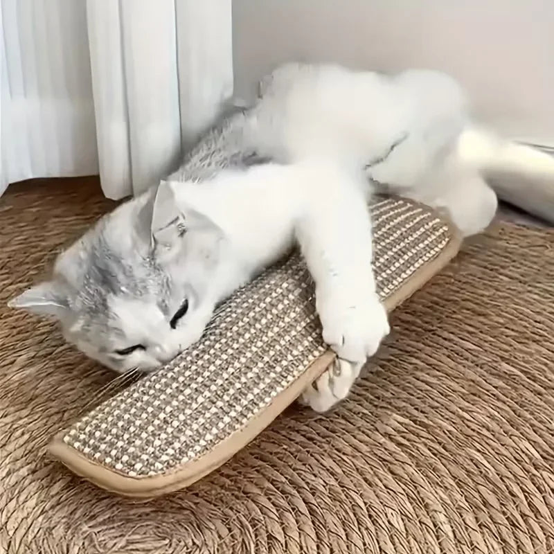 Cat Toy Pillow & Sisal Scratching Pad for Solo & Interactive Play