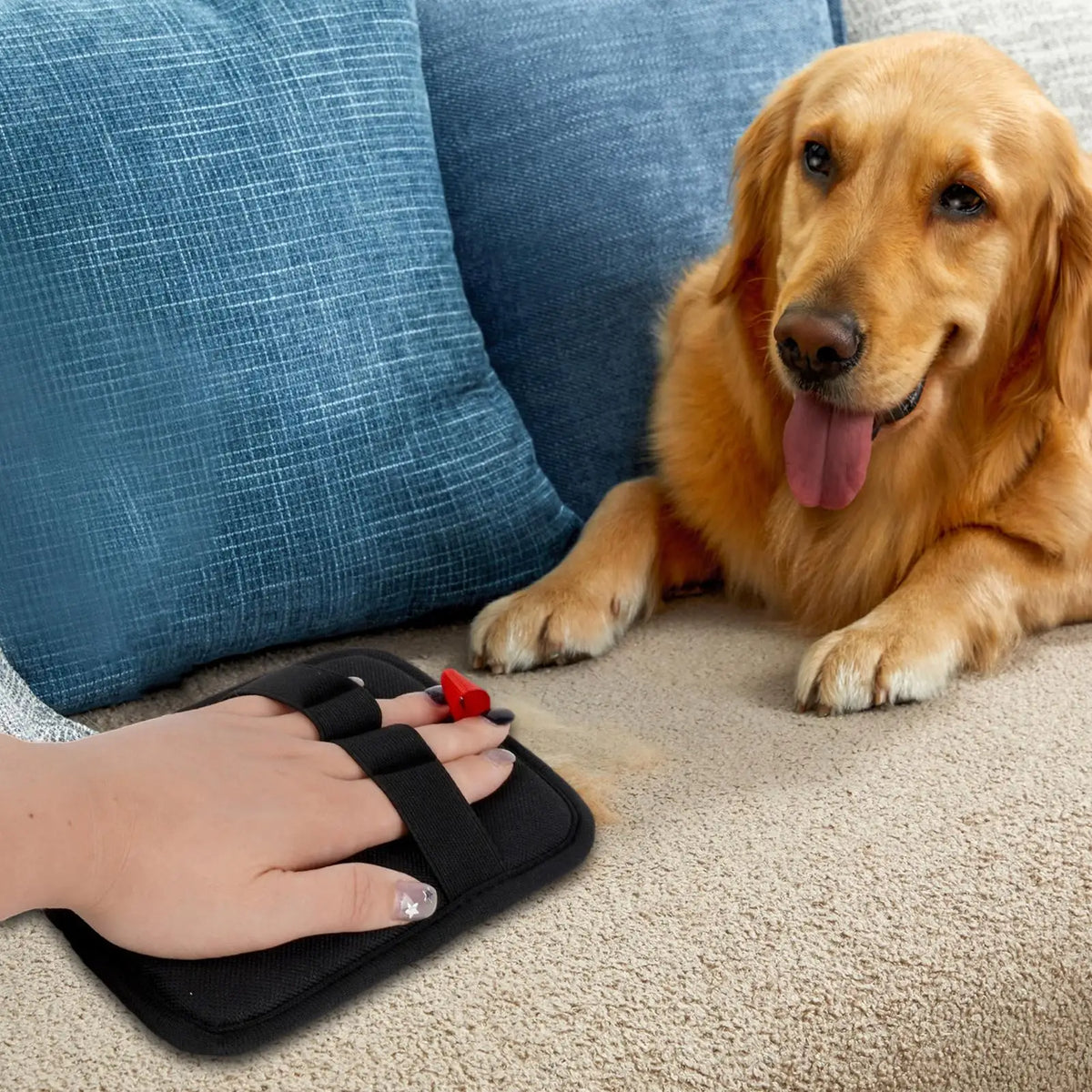 Electrostatic Pet Hair Removal Glove | Washable Grooming Mitten