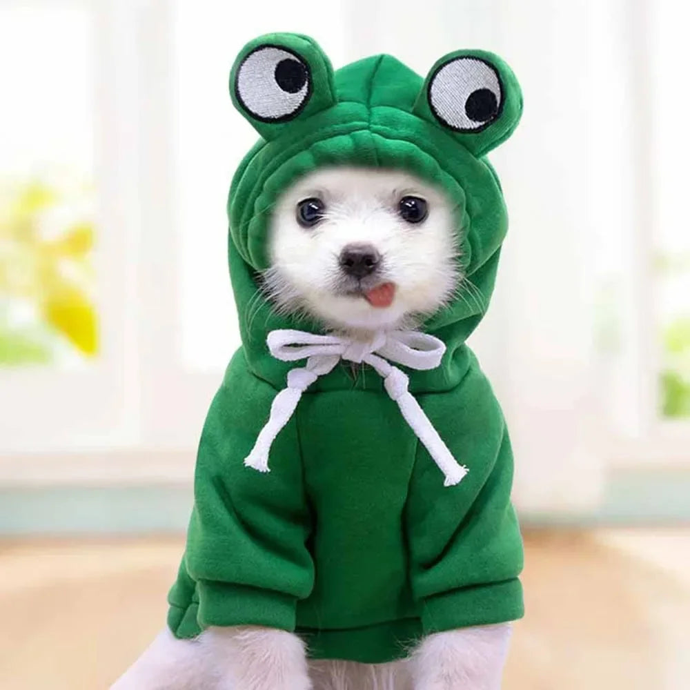 Dogs Clothes Luxury Apparels Accessories Apparel Home Dog S Sweater
