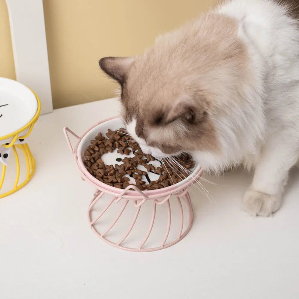 Elevated Ceramic Cat & Dog Bowl with Iron Stand | Non-Slip