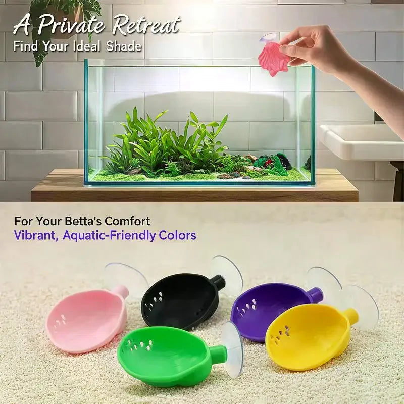 Shell-Shaped Betta Feeding Dish with Suction Cup | Fish Tank