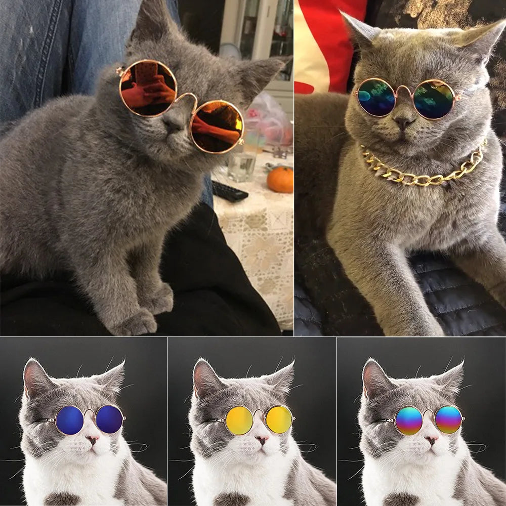Vintage Round Pet Glasses for Dogs & Cats | Photo Props