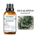 EUQEE 30ml Aromatherapy Essential Oil | Diffuser & Reed Oil