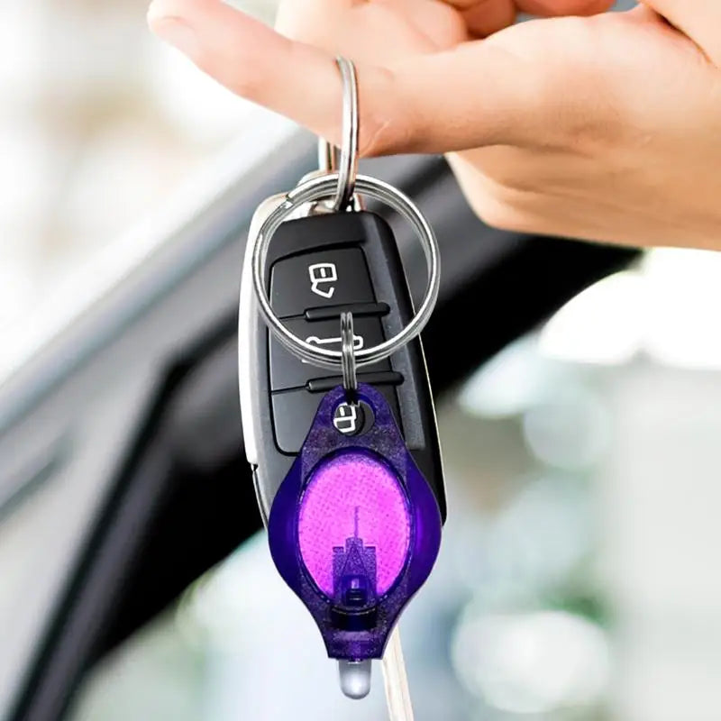 Mini LED UV Keychain Light | Portable Detector for Bags & Keys