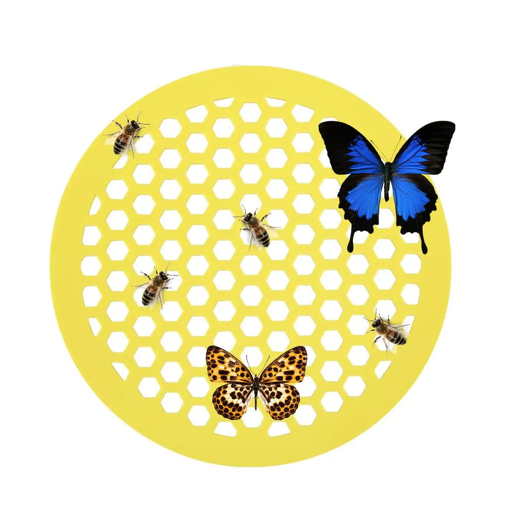 Floating Bee Watering Station – Butterfly & Bee Drink Feeder
