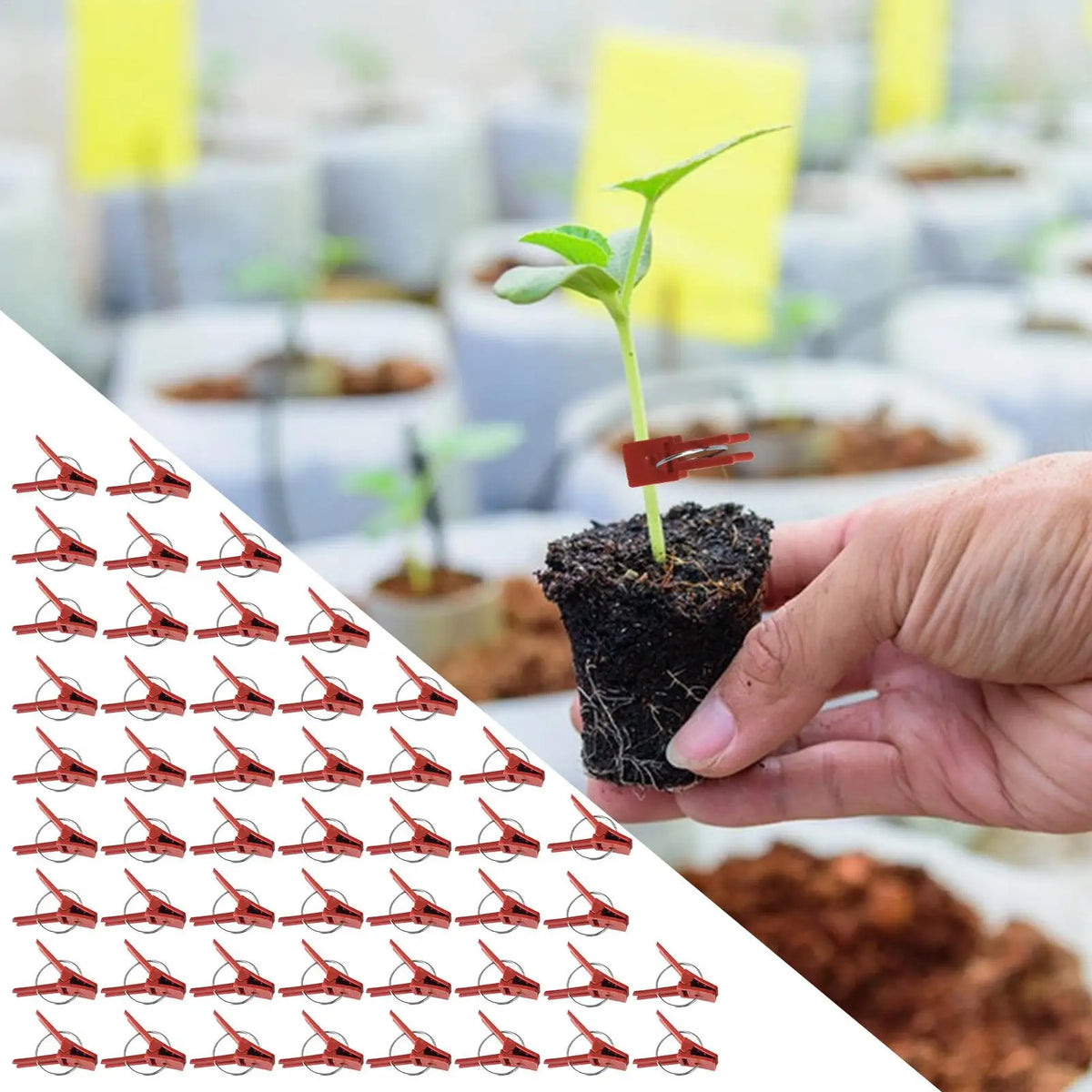 50-Pack Plant Grafting Clips | Vegetable Garden Grafting Tool