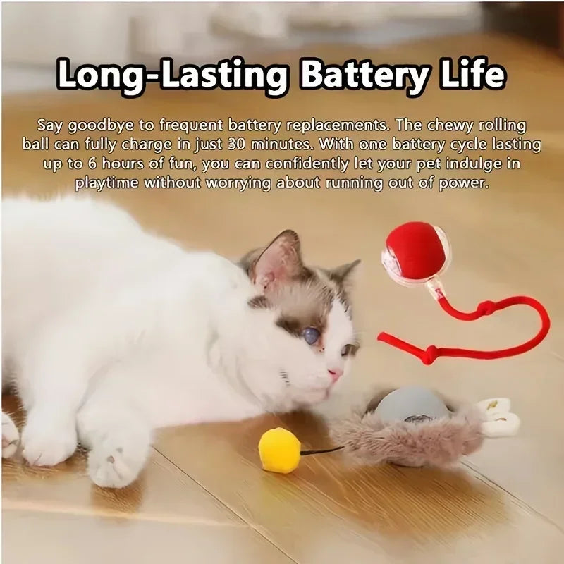 Interactive Auto Rolling Ball Toy for Cats & Dogs | USB Rechargeable