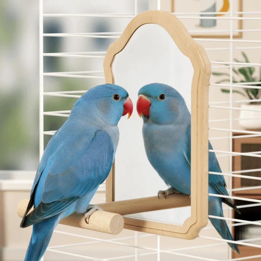 Wooden Bird Mirror Perch – Detachable Parrot Toy | Bite-Resistant