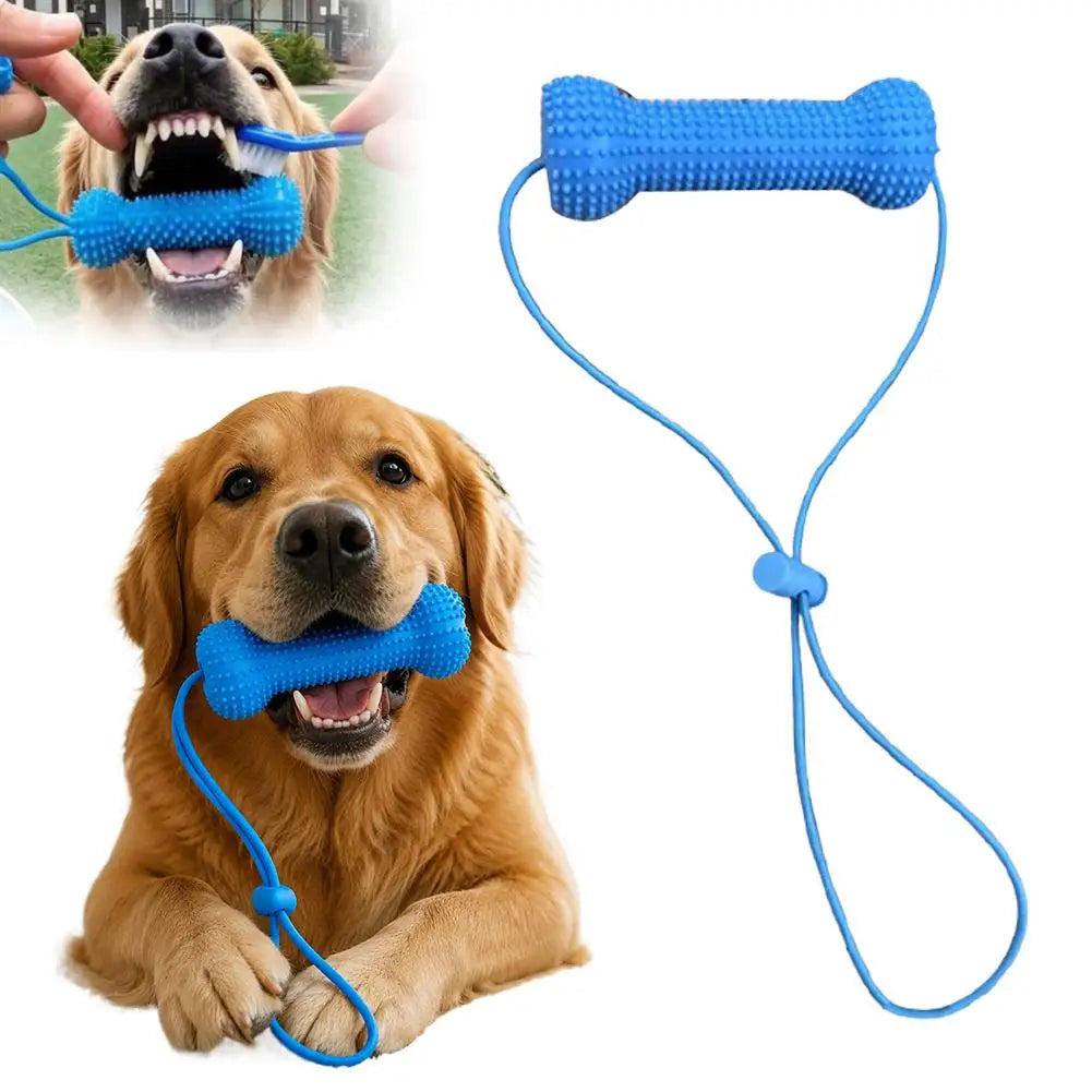 Dog Dental Chew Toy with Rope – TPR Molar Stick for Dogs