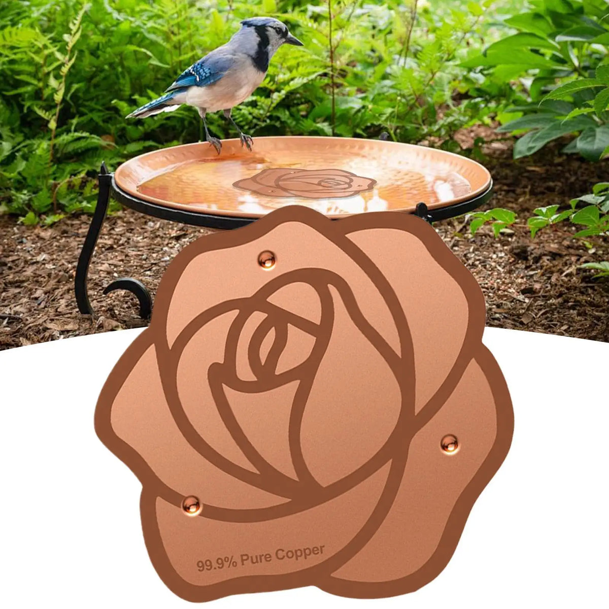 Copper Bird Bath Purification Disc | Triple-Point Support