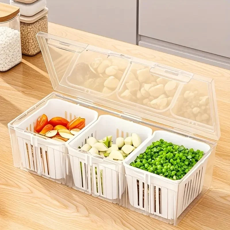 Compartment Bento Box Set – Transparent Food Storage Containers